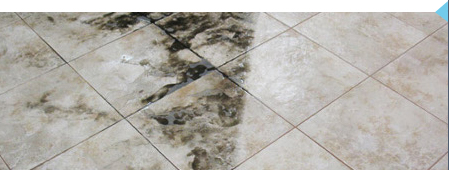 Professional Tile Cleaning Service